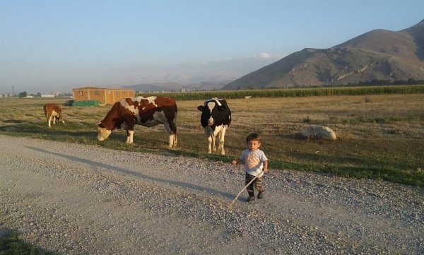 Kahramanmaraş'ta küçük çocuğun köpeğini koruduğu anlar