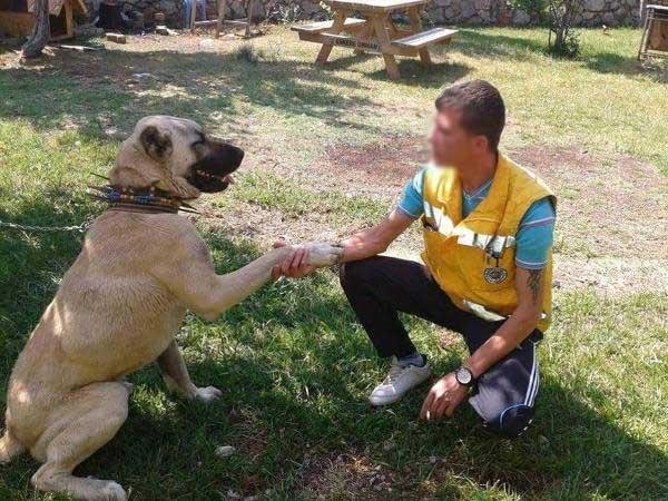 d Denizli'de acil tıp teknisyeni ceset gömerken yakalandı