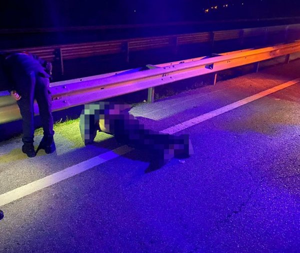 Yolun karşısına geçmeye çalışırken otomobil çarptı, öldü