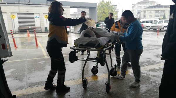 Bursa'da odun kesen adam hastanelik oldu