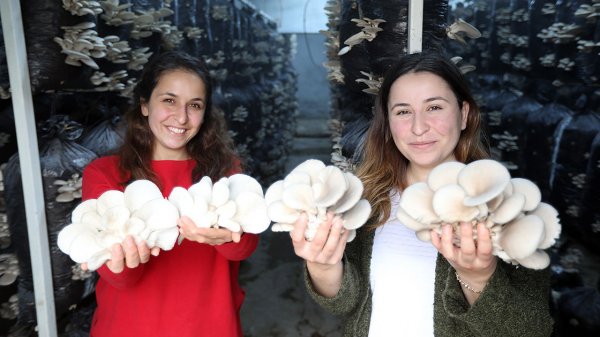 a Aydınlı kız kardeşler iş bulamayınca çiftçi oldu