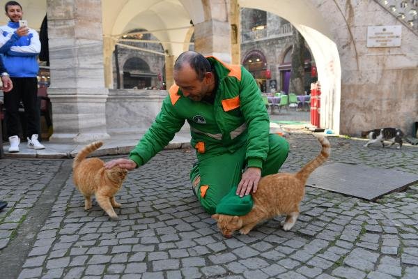 Bursa'da beresini sokak kedisine takan işçi fenomen oldu