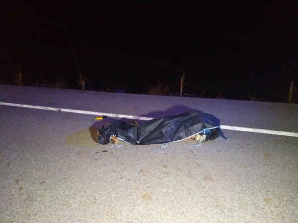 i Kütahya'da otomobil at arabasına arkadan çarptı