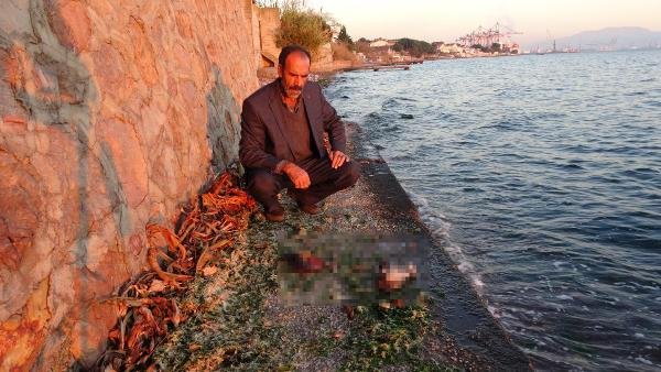 d Güvercinlerini öldüren atmacayı yakalayıp görüntüledi