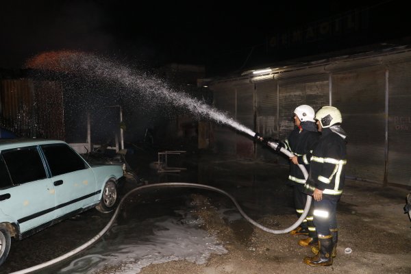 i Adana'da yangında 2 köpek telef oldu