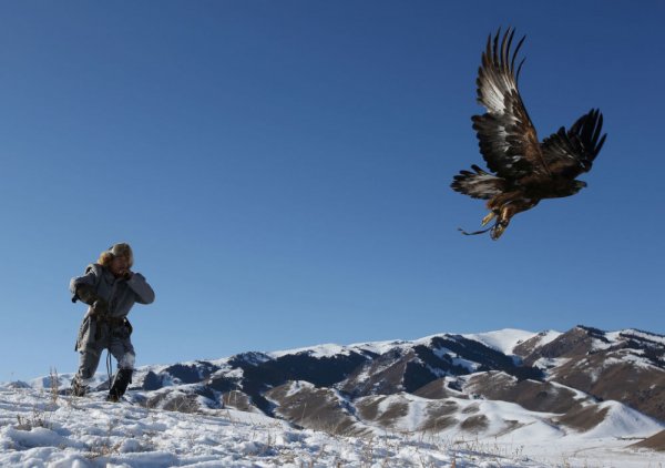 Kazakistan'da Kartal Avcılığı Turnuvası gerçekleştirildi