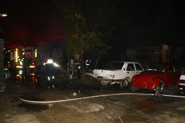 i Adana'da yangında 2 köpek telef oldu