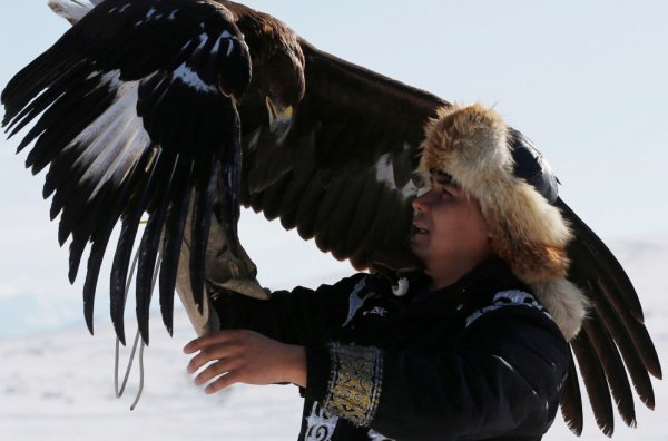 Kazakistan'da Kartal Avcılığı Turnuvası gerçekleştirildi