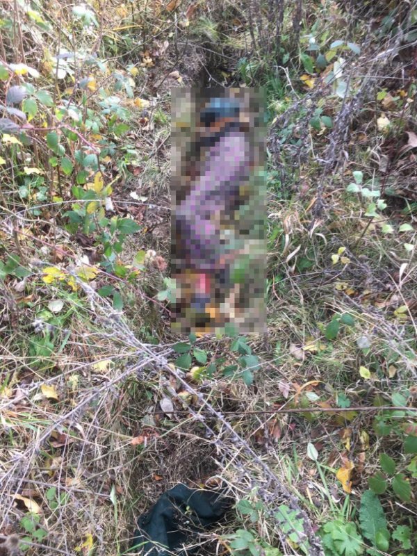 i Bursa'da 29 gündür kayıp olan kadın ölü olarak bulundu