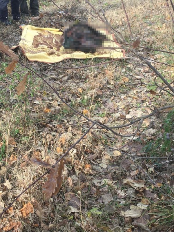 i Bursa'da 29 gündür kayıp olan kadın ölü olarak bulundu