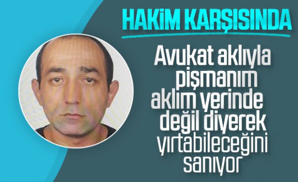 Ceren Özdemir'in katilinin akıl sağlığı yerinde