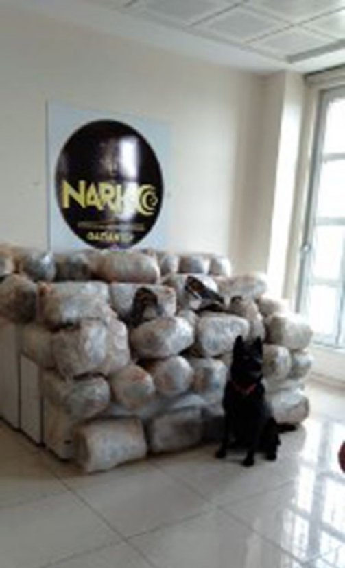 i Gaziantep polisi bir tankerde 200 kilo esrar buldu