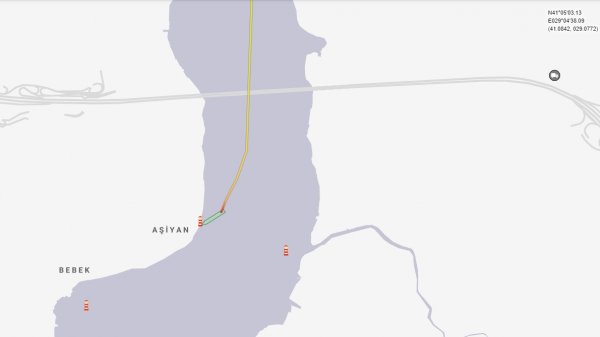 Geminin Boğaz'da bilerek karaya vurduğunu savunanlar var