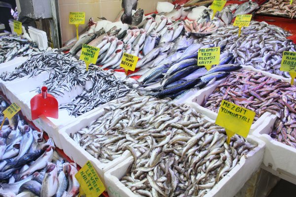 i Soğuk hava tezgahları hareketlendirdi