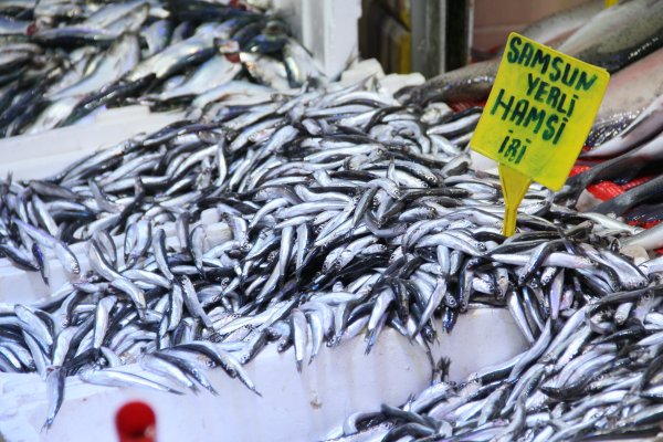 i Soğuk hava tezgahları hareketlendirdi