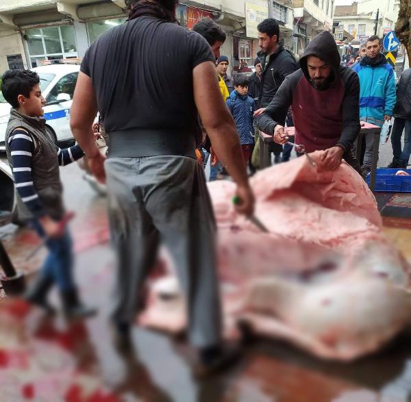 d Sokak ortasında deve kesip ortalığı kana buladılar