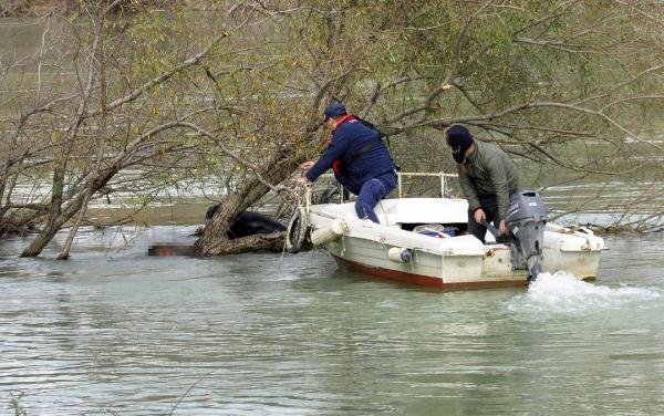 d Irmakta cesedi bulunan oğlunu dövmesinden teşhis etti