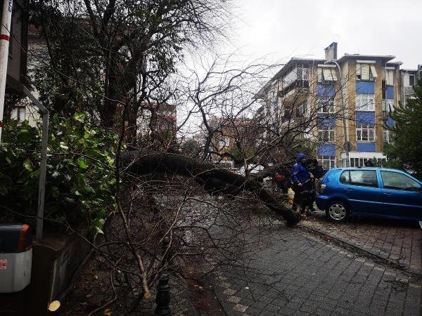 İstanbul'da şiddetli rüzgar