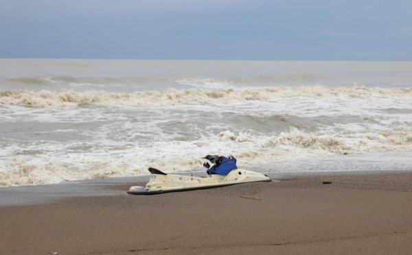 Antalya'da ölü at kıyıya vurdu