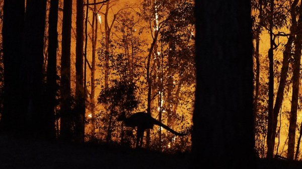 r Avustralya Başbakanı'na ağır eleştiri