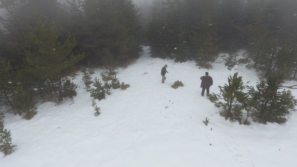 i Sinop'ta yabani hayvanlar kara kışta unutulmadı
