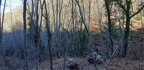 Kapan-2 operasyonunda PKK'ya darbe