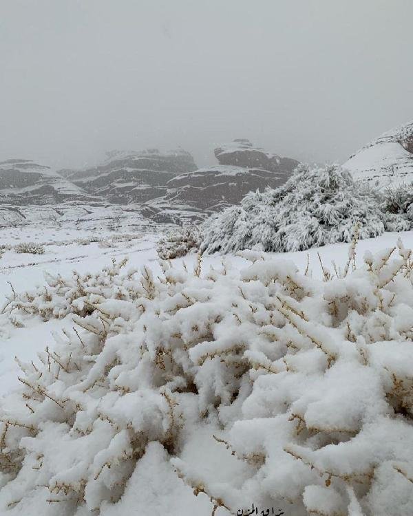 d Suudi Arabistan’a kar yağdı, Araplar coştu