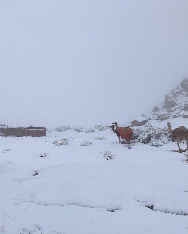 d Suudi Arabistan’a kar yağdı, Araplar coştu