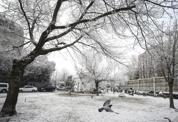 Kar yağışı ve soğuk Doğu'da etkili oluyor
