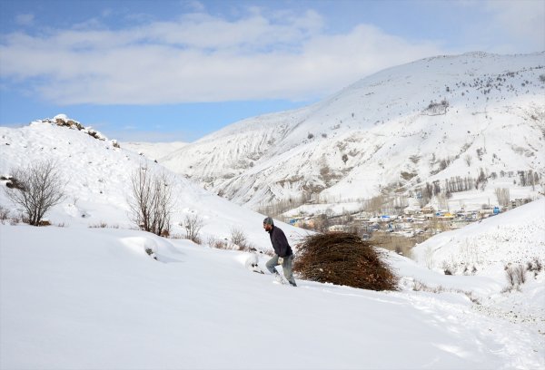 Kar yağışı ve soğuk Doğu'da etkili oluyor