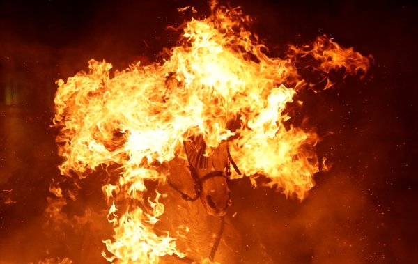 Atlar, kötülüklerden arındırılmak için ateş üzerinde yürütüldü