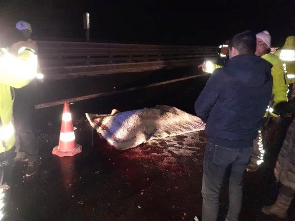 i Niğde'de trafik kazalarında 2 kişi öldü 8 kişi yaralandı