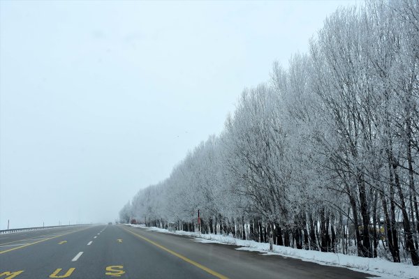Kar yağışı ve soğuk Doğu'da etkili oluyor