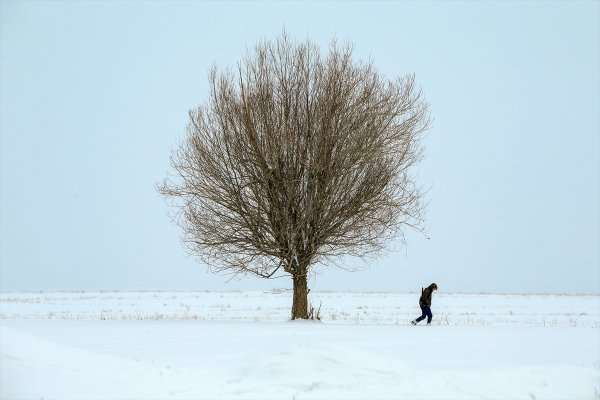 Kar yağışı ve soğuk Doğu'da etkili oluyor
