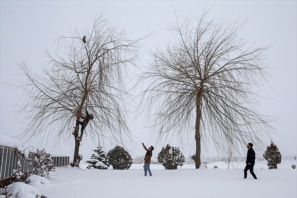Kar yağışı ve soğuk Doğu'da etkili oluyor