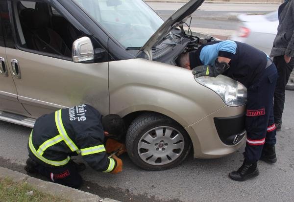 d Otomobilin motorunda sıkışan kediyi itfaiye kurtardı