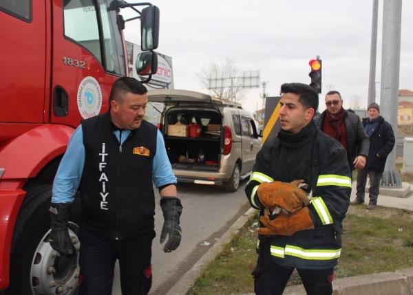 d Otomobilin motorunda sıkışan kediyi itfaiye kurtardı