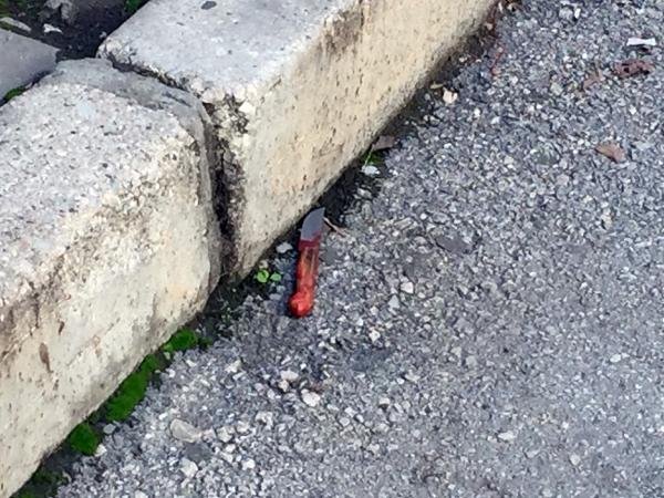 Darbettiği öne sürülen erkek arkadaşının beraatini istedi