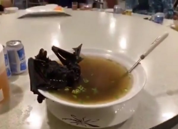 Çinlilerin yediği mide bulandırıcı yemekler