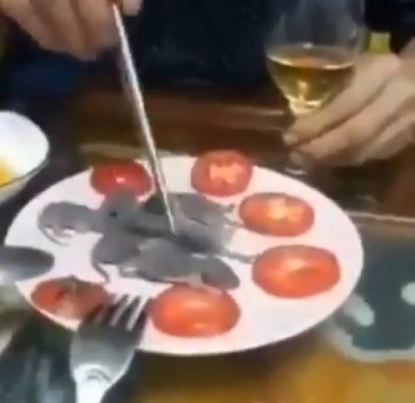 Çinlilerin yediği mide bulandırıcı yemekler