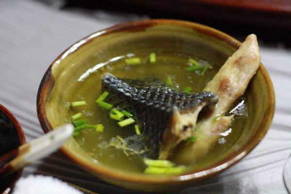 Koronavirüsünün yılanlardan insanlara geçtiği belirtildi