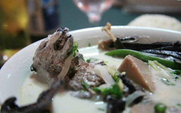 Koronavirüsünün yılanlardan insanlara geçtiği belirtildi