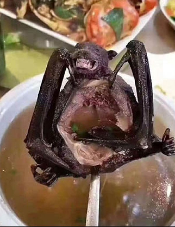 Vuhan ölü bir şehre döndü