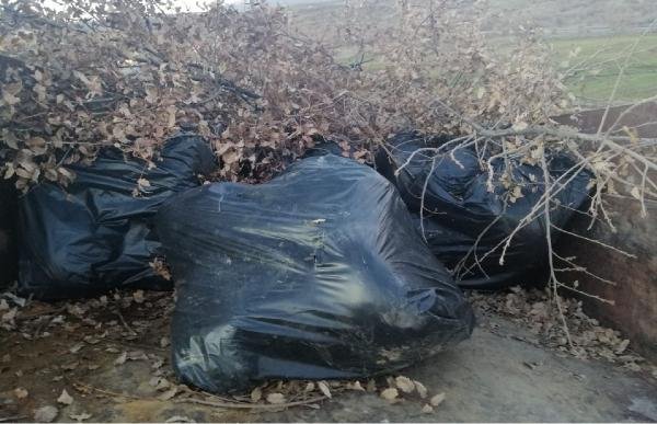 d Traktör römorkunda 250 kilo esrar ele geçirildi