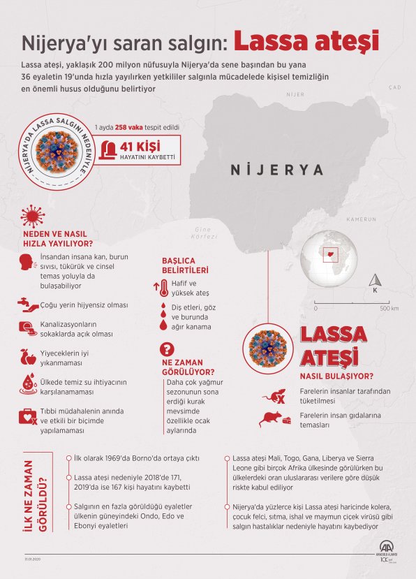 Nijerya'nın uğraştığı hastalık: Lassa ateşi