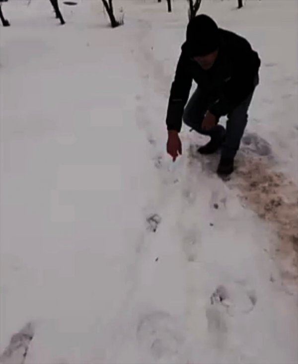 a Polis, karda iz bırakan hırsızı yakaladı