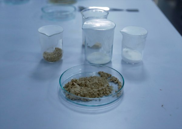 a Türk bilim insanları gıda sektörü için yerli enzim üretti