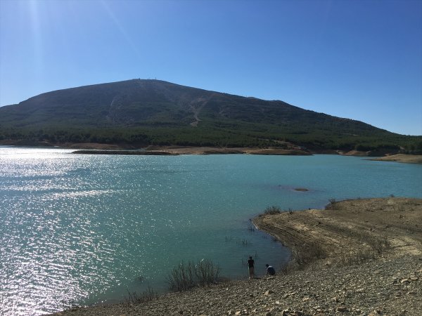 Gökçeada'da 4 yeni salyangoz türü keşfedildi