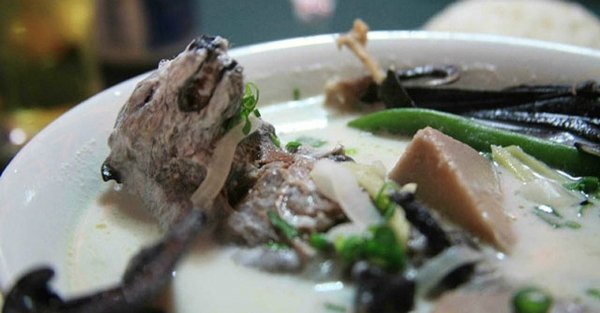 DSÖ, korona laboratuvarda ortaya çıktı iddialarına yanıt verdi