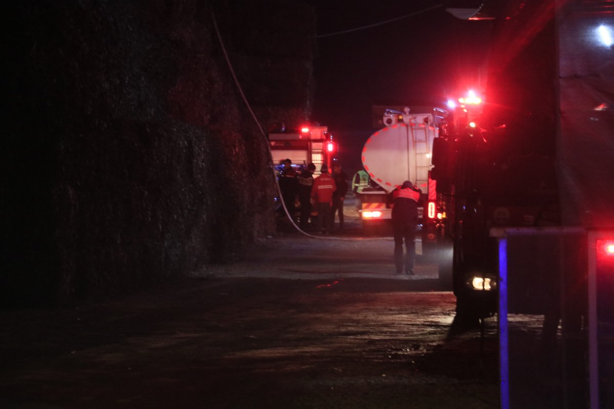i Adana’da pamuk yağı fabrikasında yangın çıktı